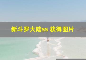 新斗罗大陆ss 获得图片